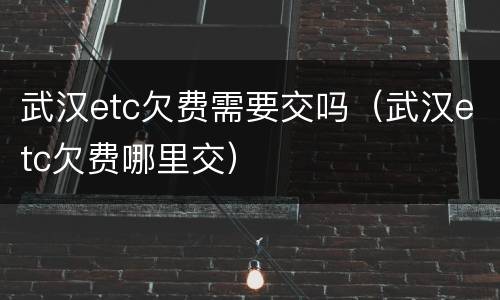 武汉etc欠费需要交吗（武汉etc欠费哪里交）