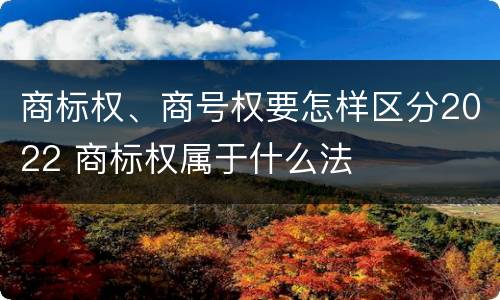 商标权、商号权要怎样区分2022 商标权属于什么法