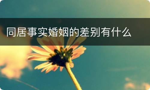 同居事实婚姻的差别有什么