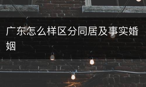 广东怎么样区分同居及事实婚姻