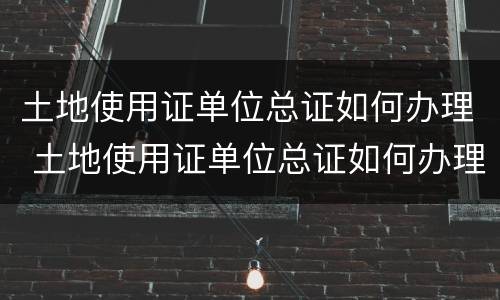 土地使用证单位总证如何办理 土地使用证单位总证如何办理过户