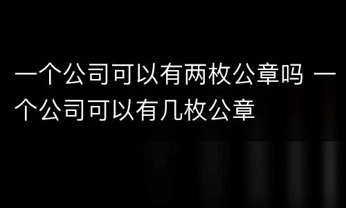 一个公司可以有两枚公章吗 一个公司可以有几枚公章