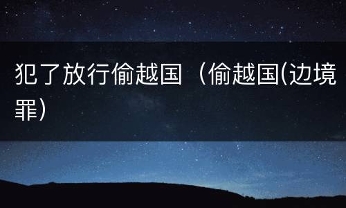 犯了放行偷越国（偷越国(边境罪）