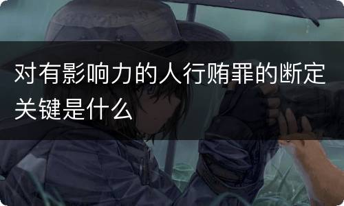 对有影响力的人行贿罪的断定关键是什么