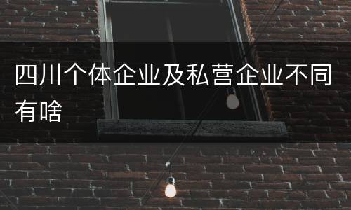 四川个体企业及私营企业不同有啥