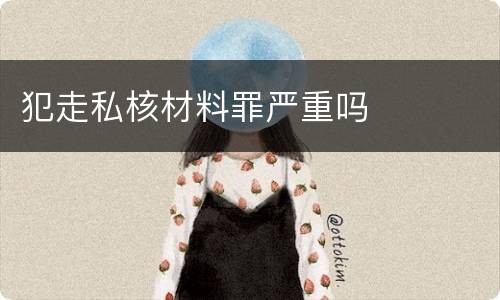 犯走私核材料罪严重吗