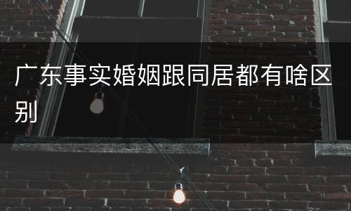 广东事实婚姻跟同居都有啥区别