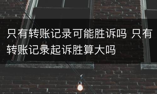 只有转账记录可能胜诉吗 只有转账记录起诉胜算大吗
