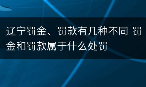 辽宁罚金、罚款有几种不同 罚金和罚款属于什么处罚