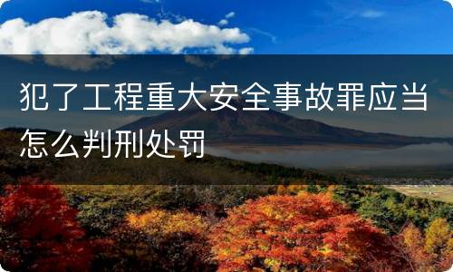 犯了工程重大安全事故罪应当怎么判刑处罚