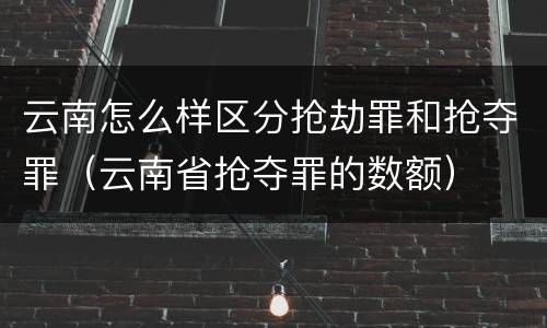 云南怎么样区分抢劫罪和抢夺罪（云南省抢夺罪的数额）