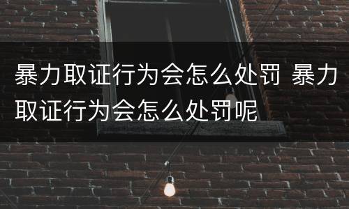 暴力取证行为会怎么处罚 暴力取证行为会怎么处罚呢