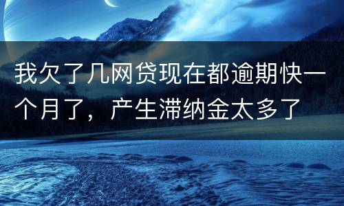 我欠了几网贷现在都逾期快一个月了，产生滞纳金太多了