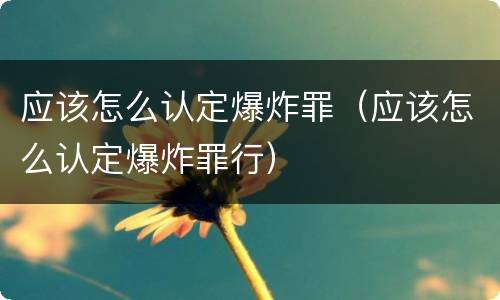 应该怎么认定爆炸罪（应该怎么认定爆炸罪行）