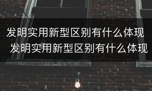 发明实用新型区别有什么体现 发明实用新型区别有什么体现和特点