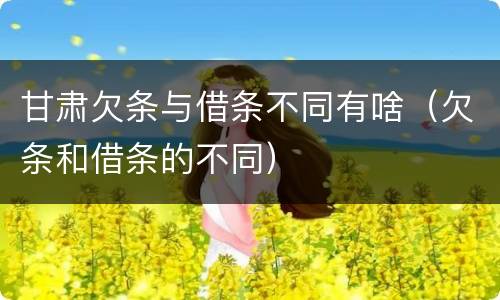 甘肃欠条与借条不同有啥（欠条和借条的不同）