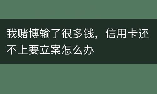 我赌博输了很多钱，信用卡还不上要立案怎么办