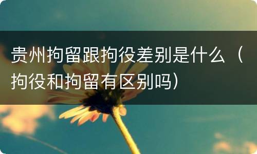贵州拘留跟拘役差别是什么（拘役和拘留有区别吗）