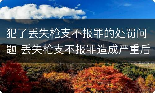 犯了丢失枪支不报罪的处罚问题 丢失枪支不报罪造成严重后果