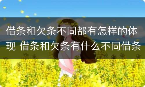 借条和欠条不同都有怎样的体现 借条和欠条有什么不同借条书写