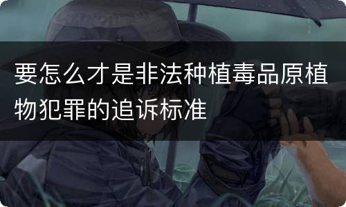 要怎么才是非法种植毒品原植物犯罪的追诉标准