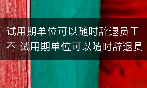 试用期单位可以随时辞退员工不 试用期单位可以随时辞退员工不给工资吗