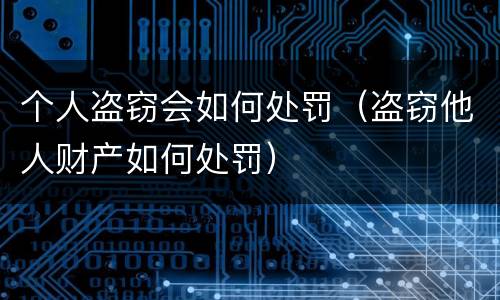 个人盗窃会如何处罚（盗窃他人财产如何处罚）