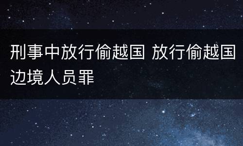 刑事中放行偷越国 放行偷越国边境人员罪