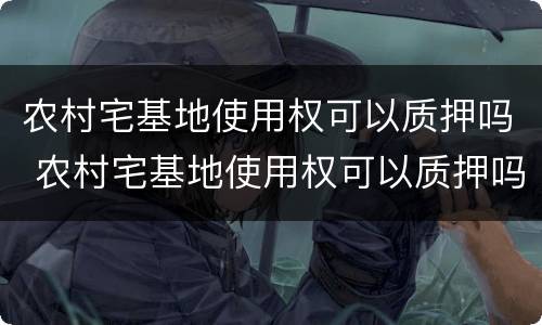 农村宅基地使用权可以质押吗 农村宅基地使用权可以质押吗多少钱