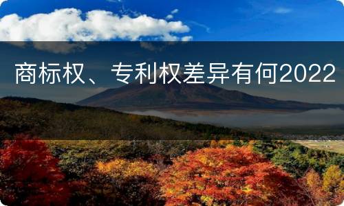 商标权、专利权差异有何2022