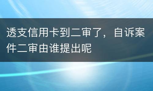 透支信用卡到二审了，自诉案件二审由谁提出呢