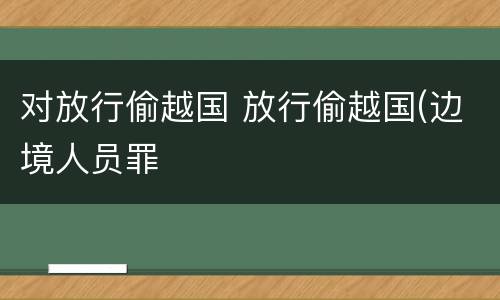 对放行偷越国 放行偷越国(边境人员罪