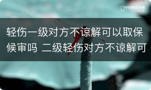 轻伤一级对方不谅解可以取保候审吗 二级轻伤对方不谅解可以取保吗