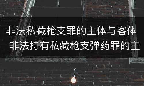 非法私藏枪支罪的主体与客体 非法持有私藏枪支弹药罪的主体