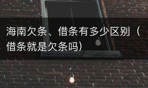海南欠条、借条有多少区别（借条就是欠条吗）