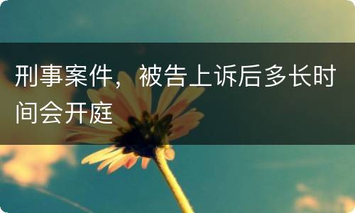 刑事案件，被告上诉后多长时间会开庭