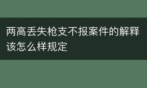 两高丢失枪支不报案件的解释该怎么样规定