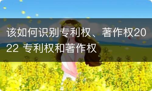 该如何识别专利权、著作权2022 专利权和著作权