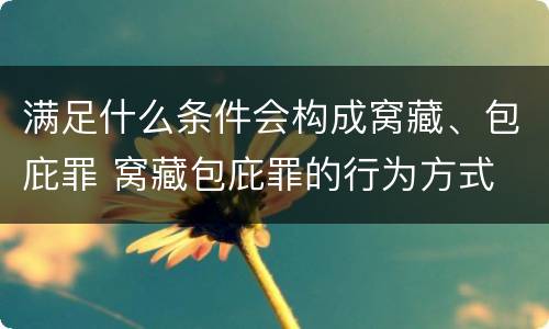 满足什么条件会构成窝藏、包庇罪 窝藏包庇罪的行为方式