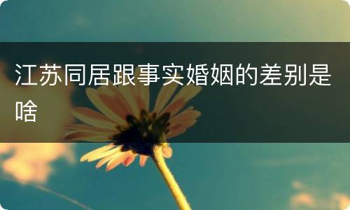 江苏同居跟事实婚姻的差别是啥