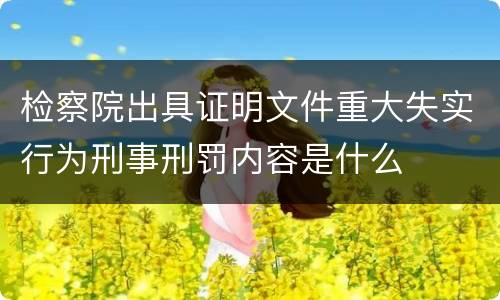 检察院出具证明文件重大失实行为刑事刑罚内容是什么