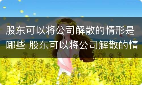 股东可以将公司解散的情形是哪些 股东可以将公司解散的情形是哪些