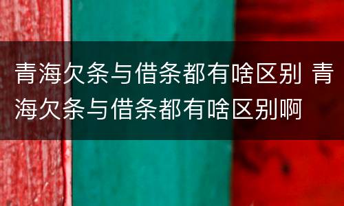 青海欠条与借条都有啥区别 青海欠条与借条都有啥区别啊