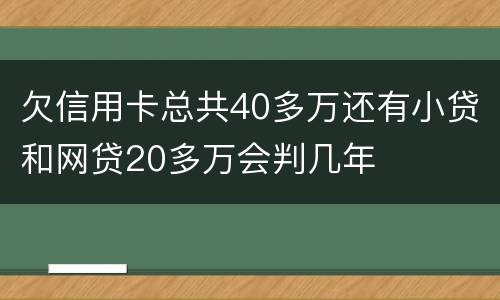 欠信用卡总共40多万还有小贷和网贷20多万会判几年