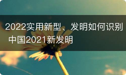 2022实用新型、发明如何识别 中国2021新发明