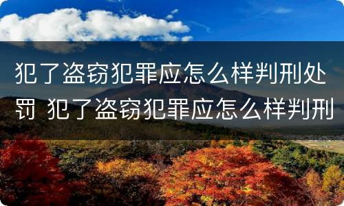 犯了盗窃犯罪应怎么样判刑处罚 犯了盗窃犯罪应怎么样判刑处罚决定书