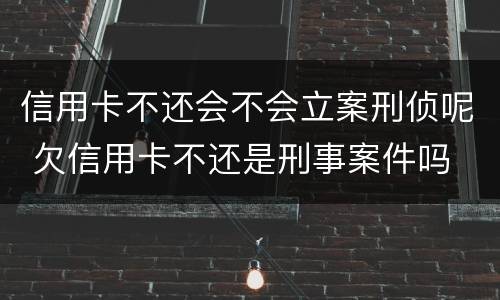 信用卡不还会不会立案刑侦呢 欠信用卡不还是刑事案件吗
