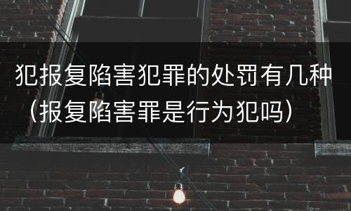 犯报复陷害犯罪的处罚有几种（报复陷害罪是行为犯吗）