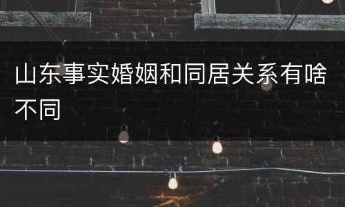 山东事实婚姻和同居关系有啥不同