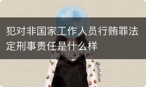 犯对非国家工作人员行贿罪法定刑事责任是什么样